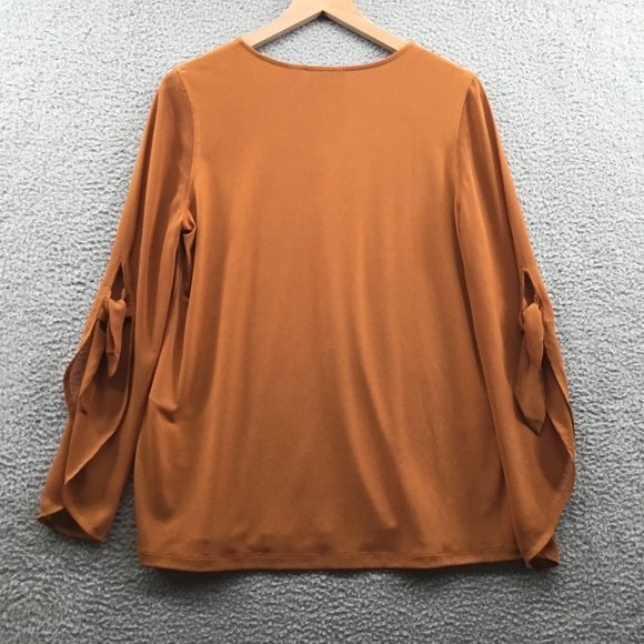 Susan Graver Liquid Knit Top with Chiffon Sleeves Rust S - Picture 2 of 4